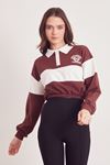 Çizgili Polo Yaka Bluz-Kahve